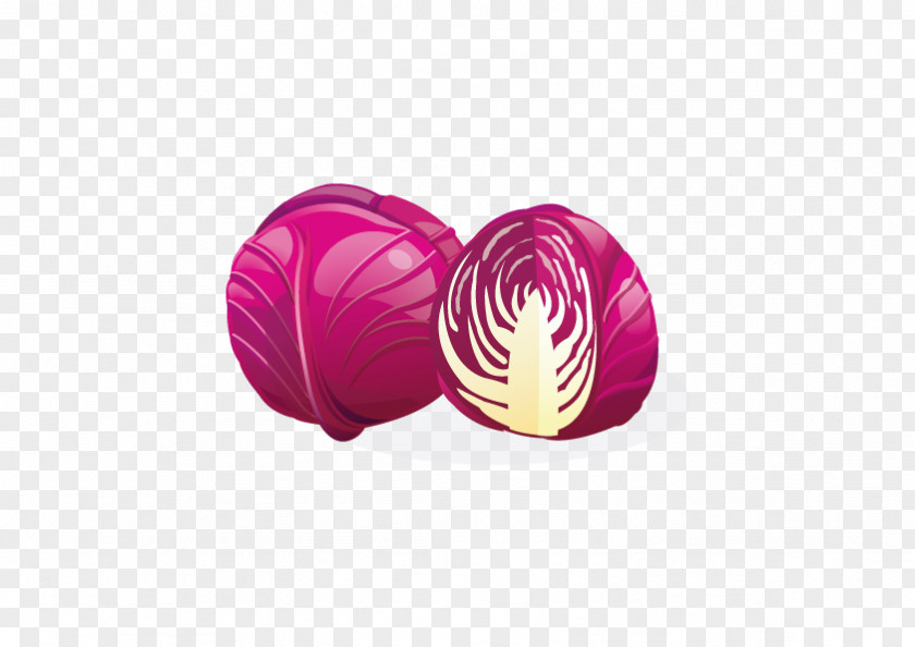 Vector Cabbage Red Vegetable Clip Art PNG