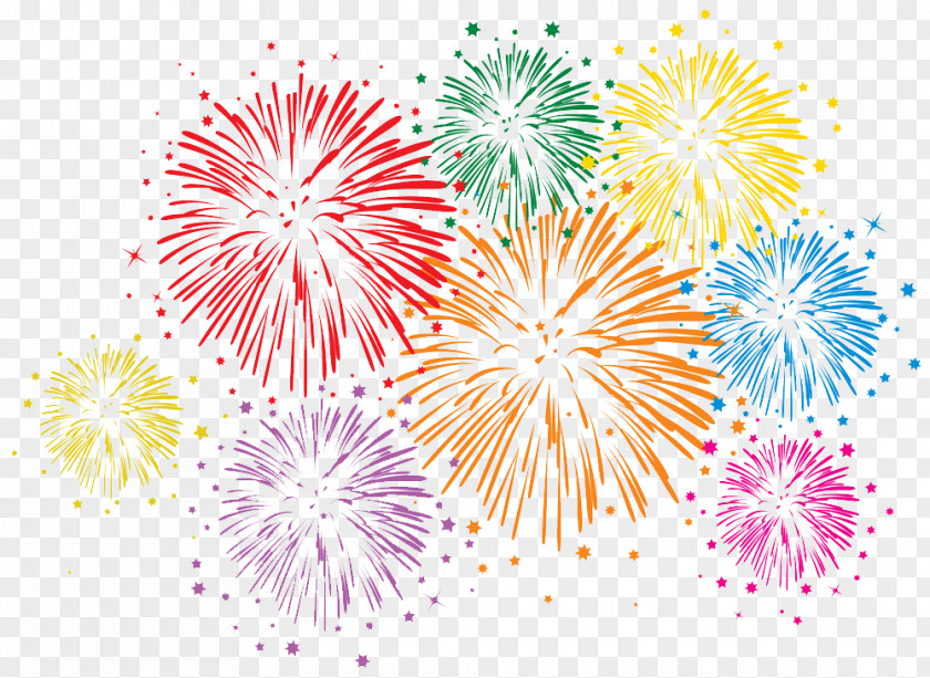 Bloom Of Fireworks Royalty-free Stock Photography PNG