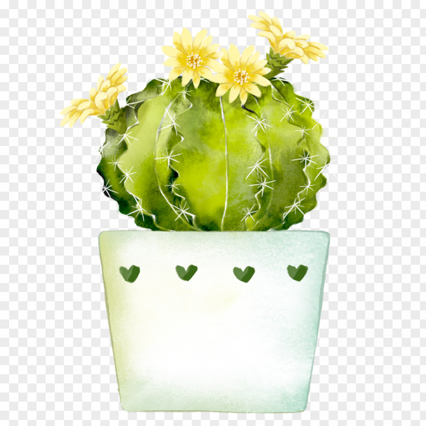 Cactus Potted Plants Watercolor Painting Cactaceae PNG