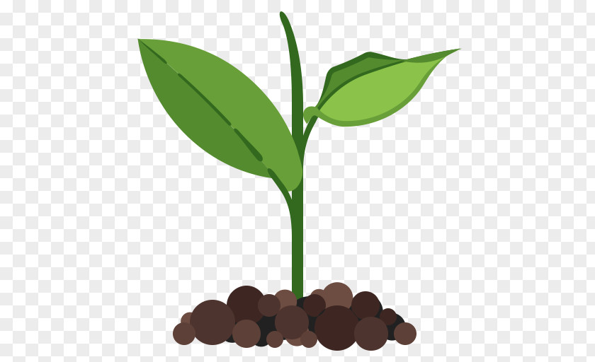Eco Plant PNG