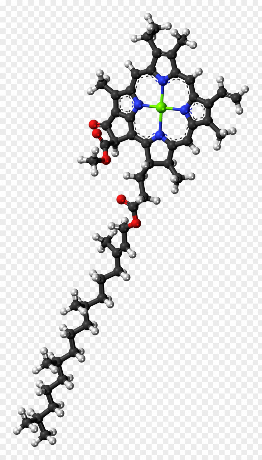 File Chlorophyll A B Molecule Photosynthesis PNG