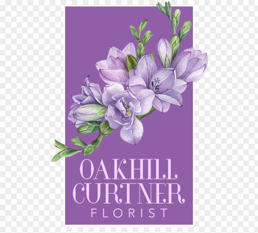 Floral Design Flower Delivery Floristry Oakhill Curtner Florist PNG