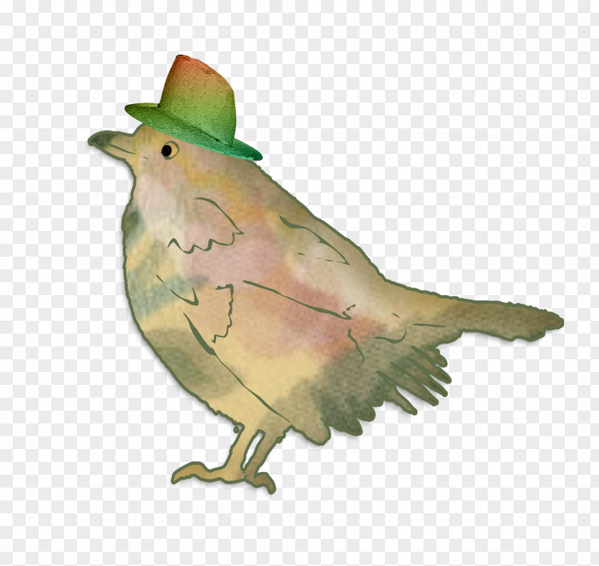 Hat Bird Greeting Card Birthday Illustration PNG