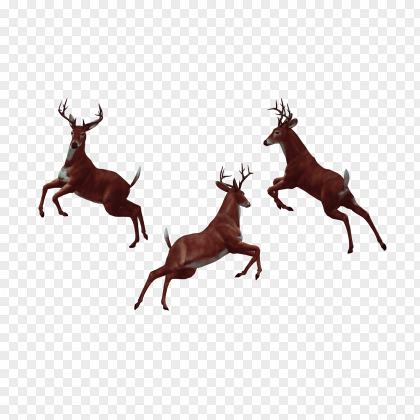 Pixel Animal Deer Vector Graphics Image Photography PNG