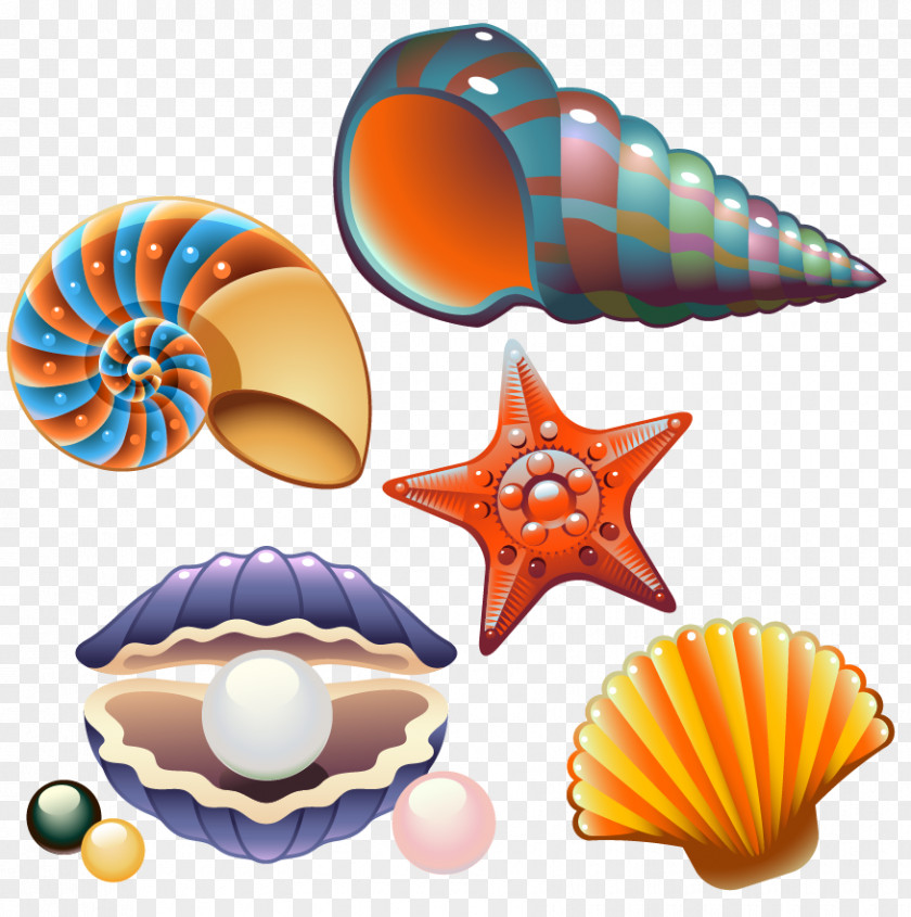 Sea Shells And Creative Class Clam Seashell Nautilidae Clip Art PNG
