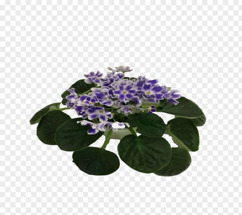 African Violets Hydrangea Flowerpot PNG