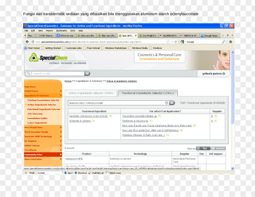 Computer Program Web Page Screenshot PNG