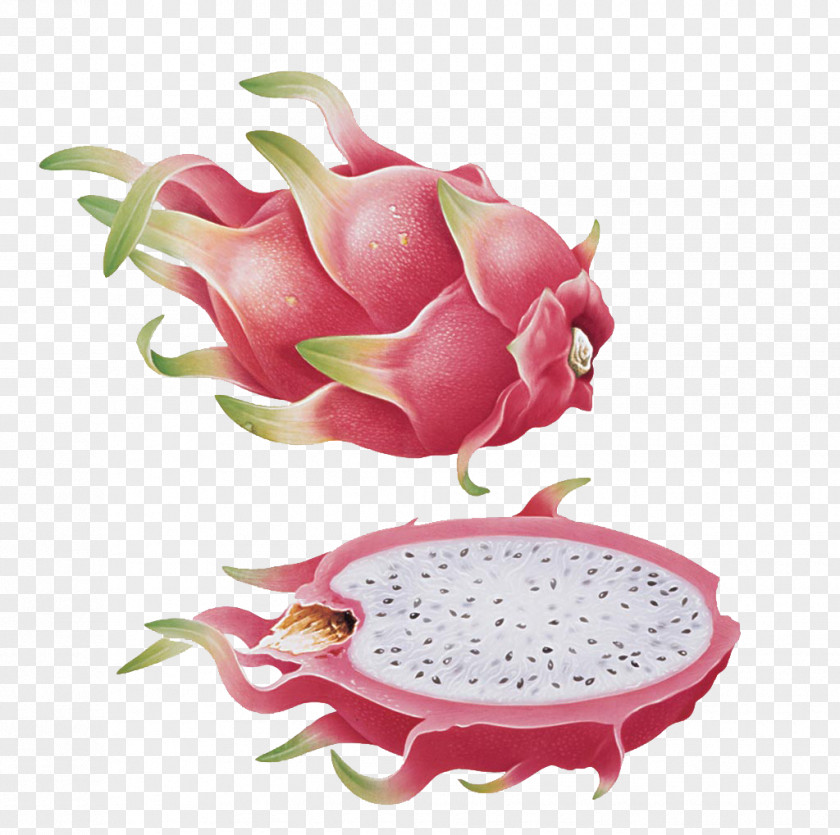 Cut Dragon Fruit Pitaya Hylocereus Undatus PNG