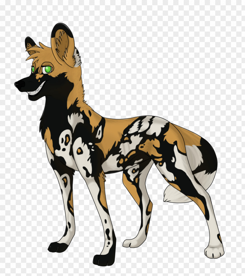 Dog African Wild Puppy Dhole Drawing PNG