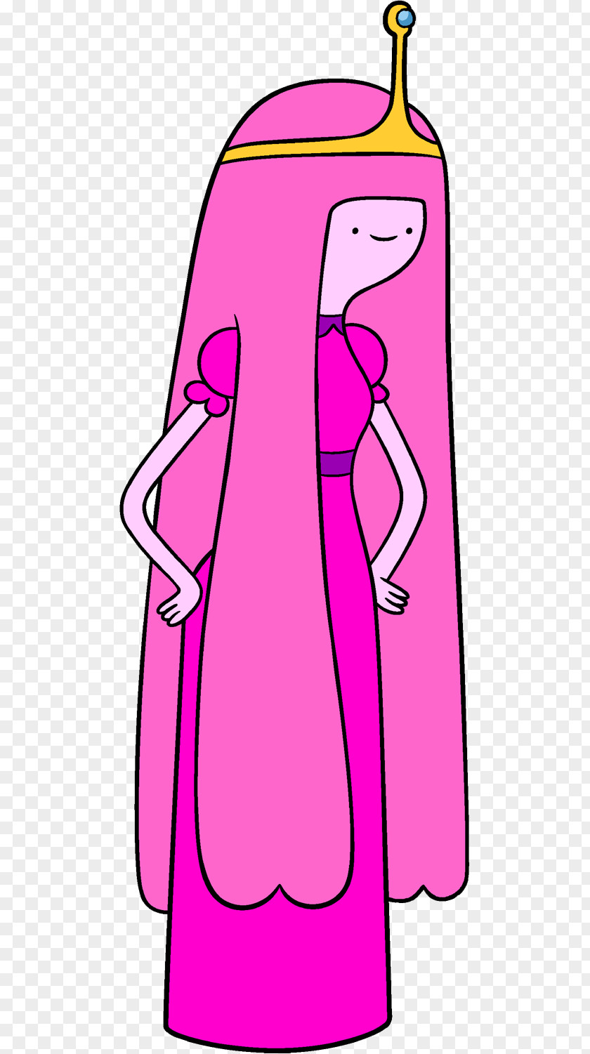 Finn The Human Princess Bubblegum Marceline Vampire Queen Ice King Jake Dog PNG