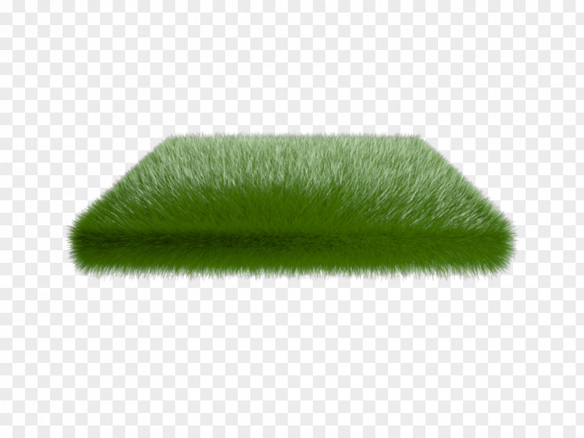 Grass DeviantArt Clip Art PNG