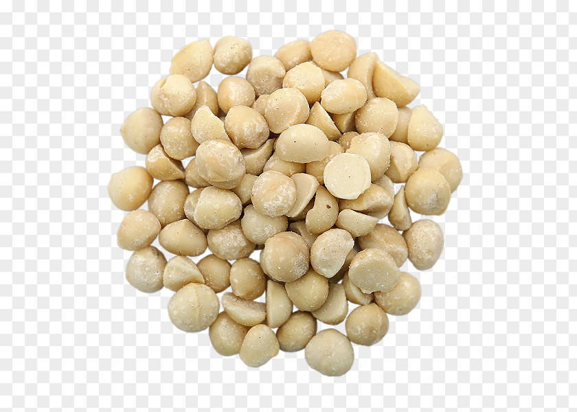 Macadamia Vegetarian Cuisine Nut Bean Food PNG