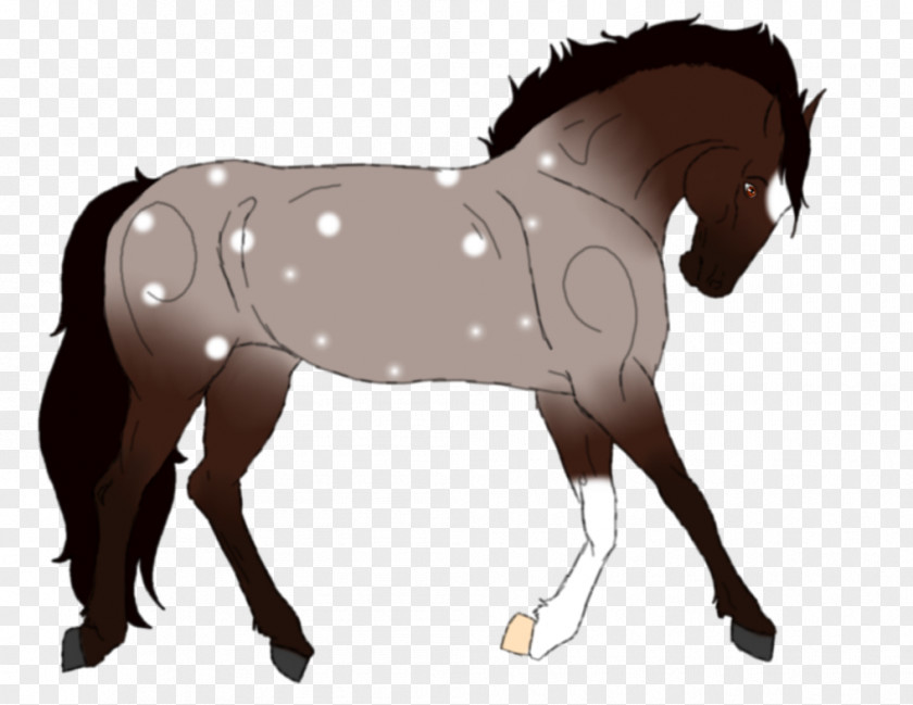 Mustang Foal Mare Stallion Bridle PNG