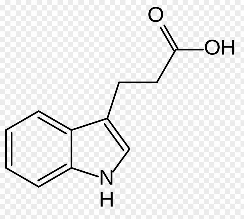 Plant Indole-3-acetic Acid Auxin Indole-3-butyric Hormone PNG