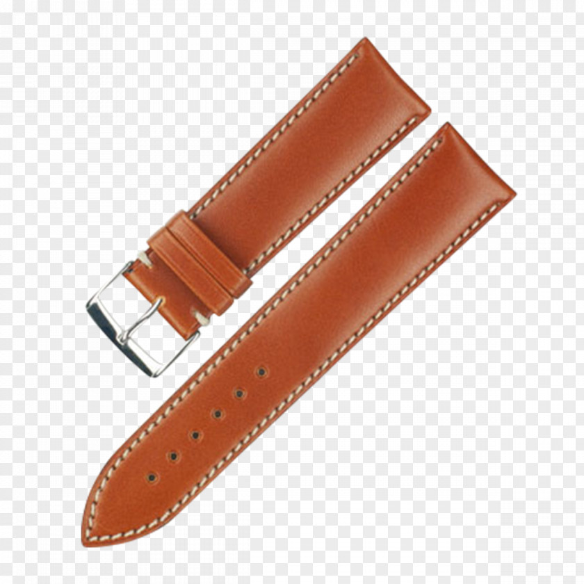 Watch Strap Buckle Ribbon PNG