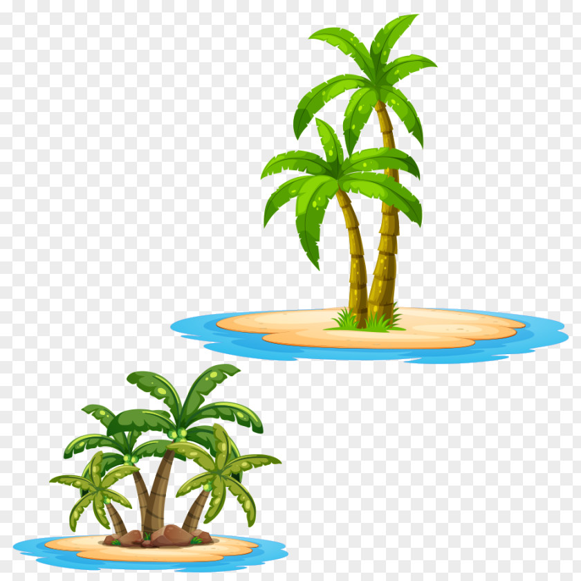 Coconut Tree Arecaceae Royalty-free Illustration PNG