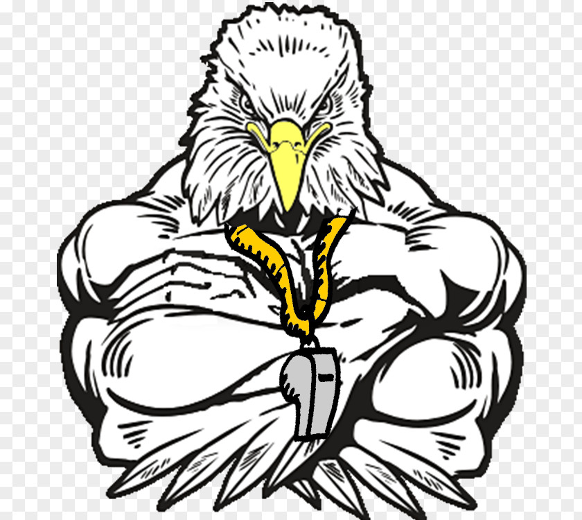 Eagle Collectables Weight Training Olympic Weightlifting Clip Art PNG