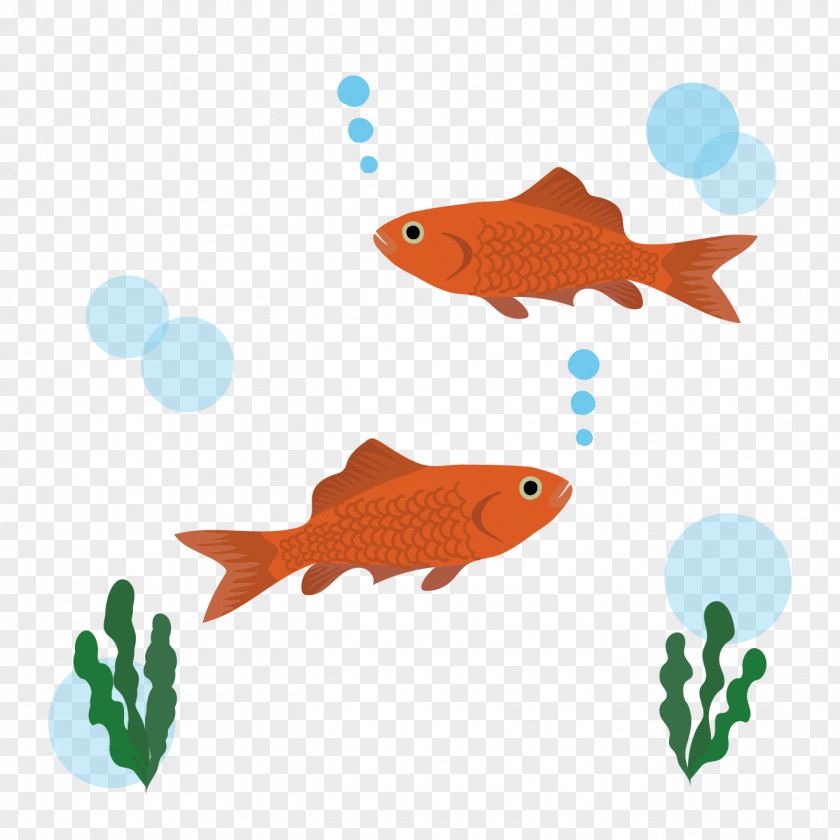 Goldfish Illustration Ecosystem Akwarium Kulowe PNG