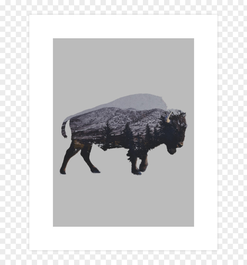 Painting American Bison Art Museum Photography PNG