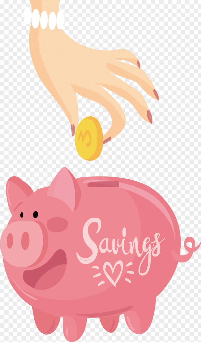 Put Gold Coins Into The Piggy Bank Domestic Pig Coin Alcancxc3xada PNG