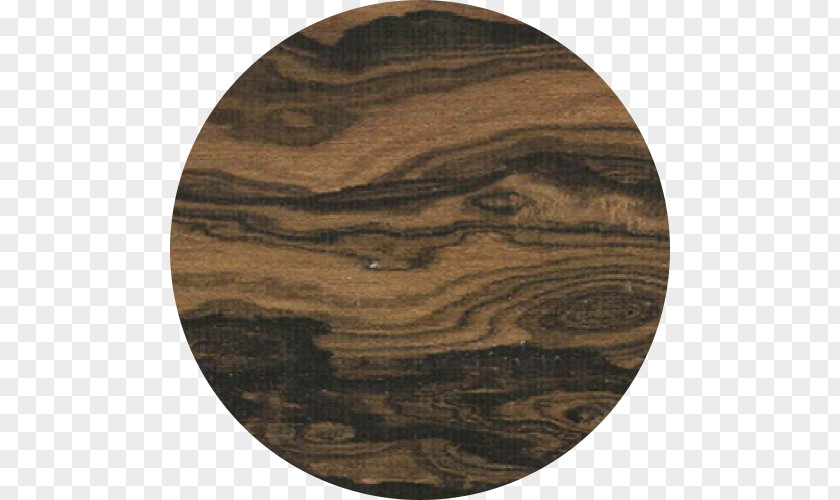 Wood Circle Stain /m/083vt PNG