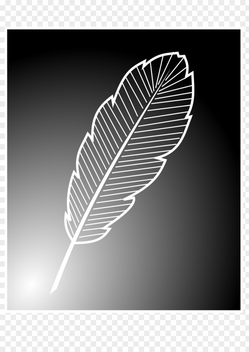 Feather Bird Black And White PNG