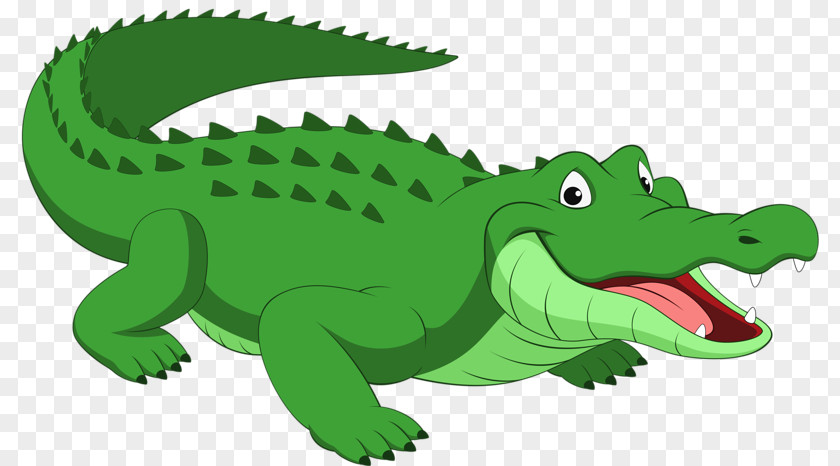 Green Crocodile Alligator Reptile Cartoon PNG