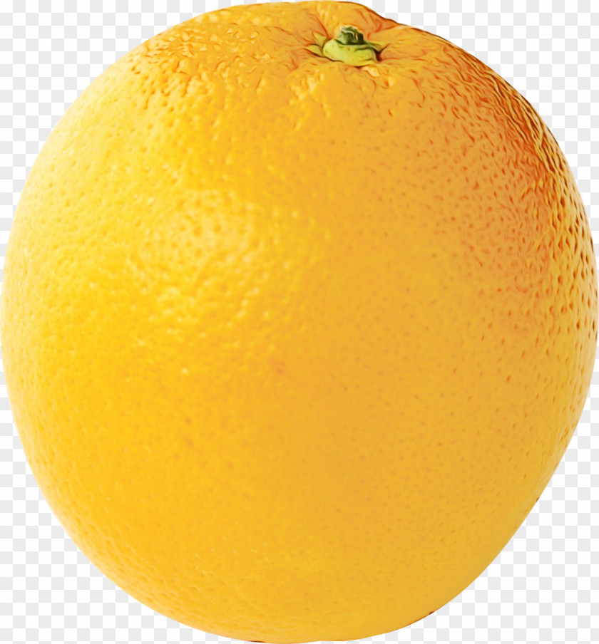 Seedless Fruit Tangerine Lemon Background PNG