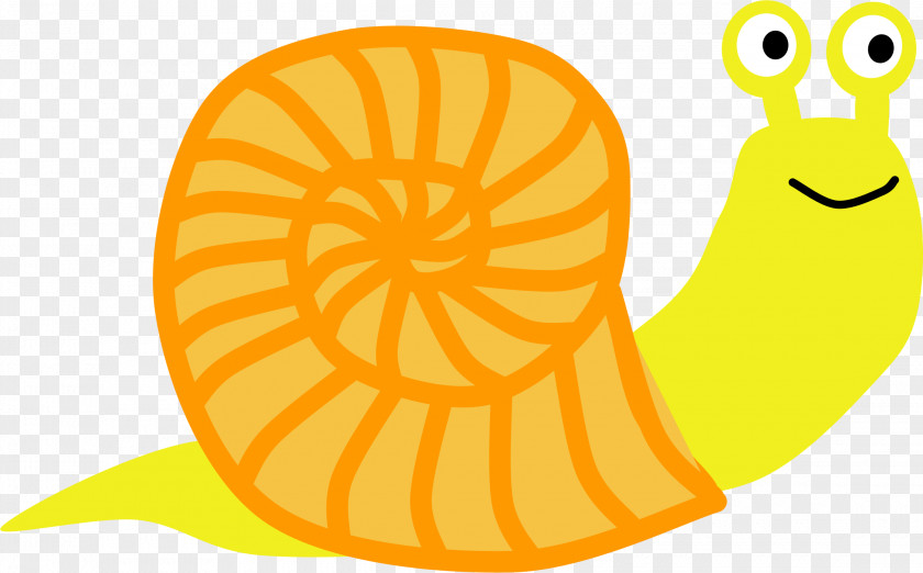 Snail Clip Art Vector Graphics Openclipart Image PNG