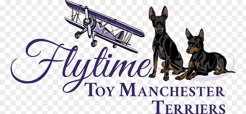 Toy Manchester Terrier Dog Breed Breeder Manchester's Grill PNG