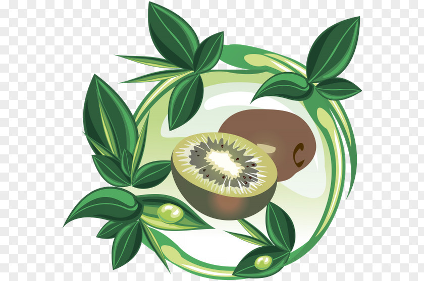 Design Fruit PNG