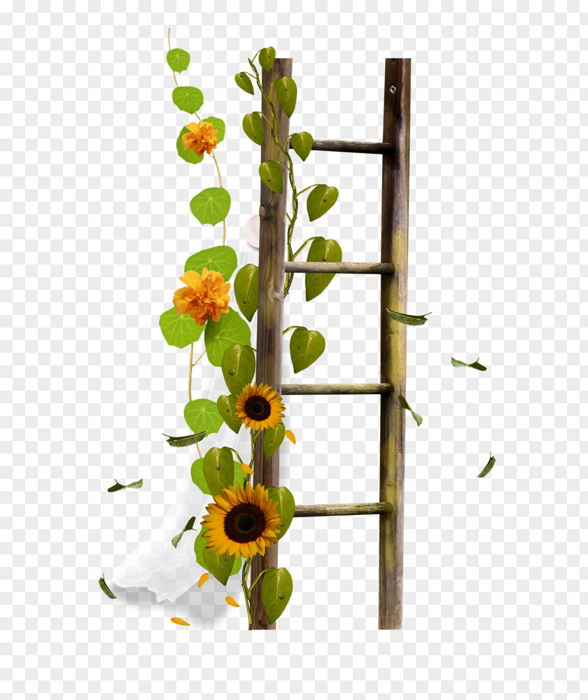 Drawing Flower Border Image Ladder Stairs Sticker Clip Art PNG