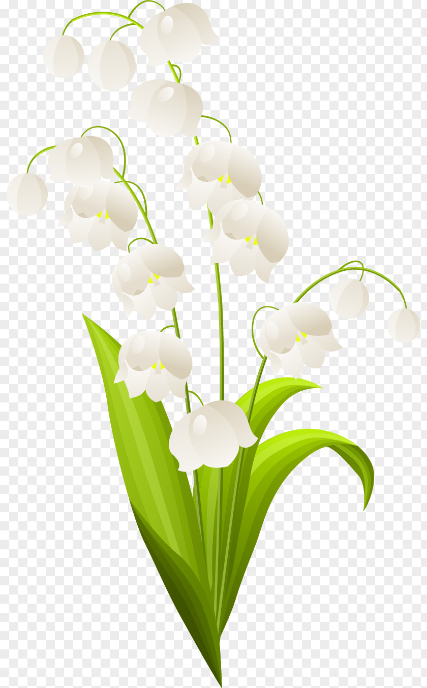 Flower Spring Lily Of The Valley Clip Art PNG