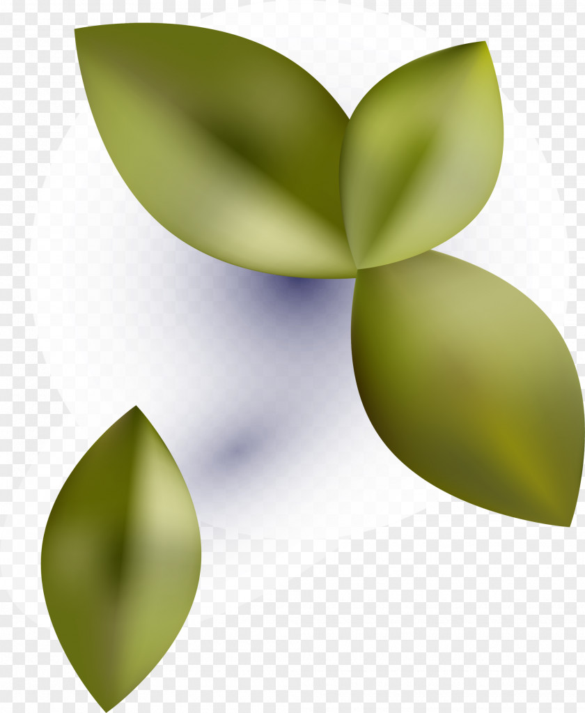 Fresh Green Leaves Leaf Computer Wallpaper PNG