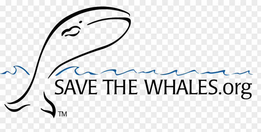 Save The Date Logo Cetacea Organization Whaling Whale Watching PNG