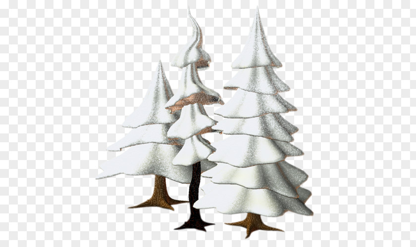 Snow Winter Christmas Tree PNG