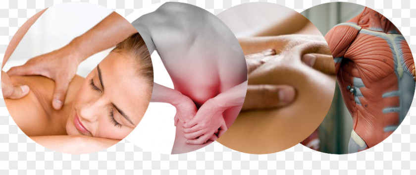 Thai Massage Muscle Apex Therapy PNG