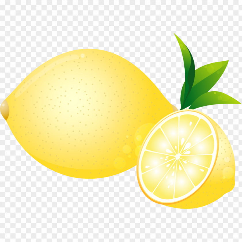 Vivid Yellow Pear Lemon Pyrus Xd7 Bretschneideri Fruit PNG