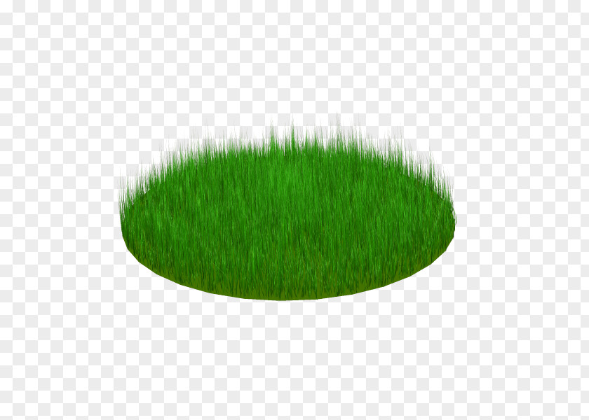 2d Grass Wheatgrass PNG
