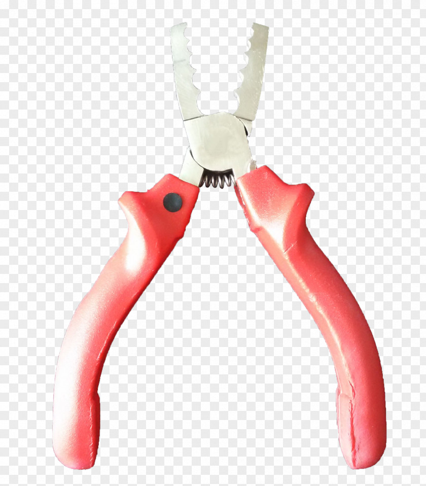 Bird Diagonal Pliers Nipper LOG Materials And Tools PNG