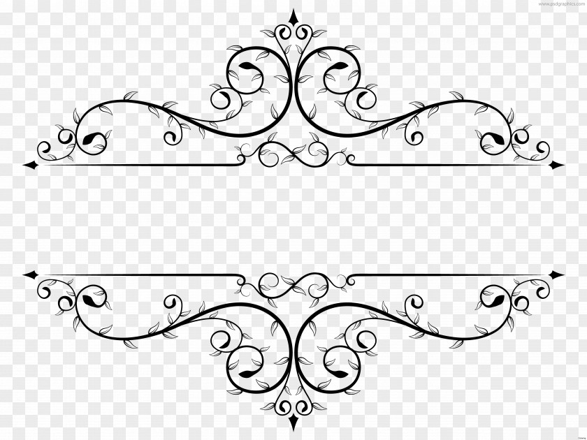 Chin Design Templates Template Picture Frames Clip Art PNG