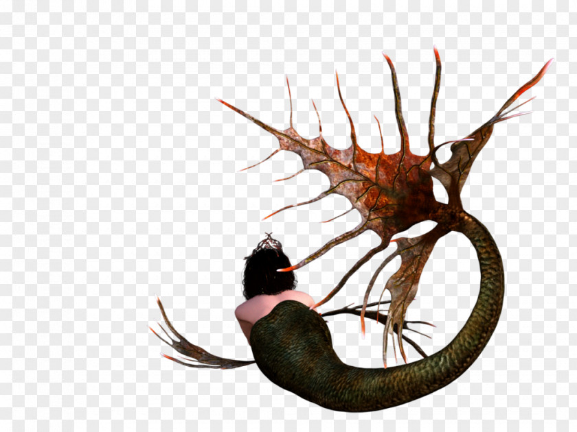 Creative Watermark Tail Invertebrate Legendary Creature Fish PNG