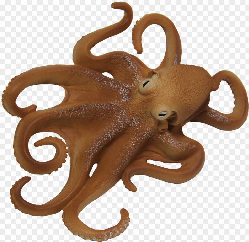 Gold Powder Octopus Aquatic Animal Coleoids Invertebrate PNG