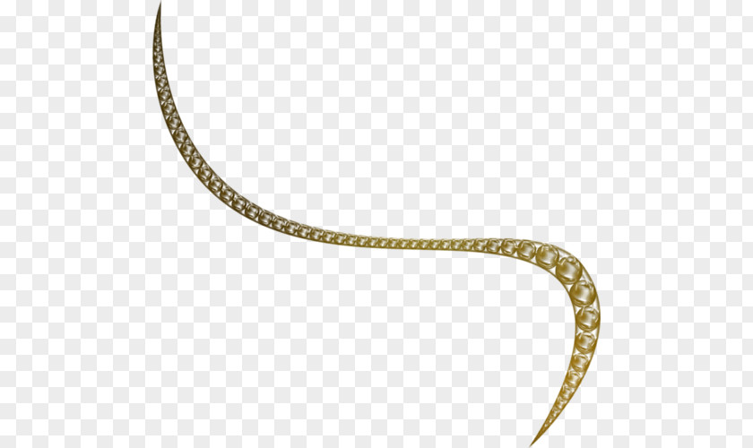 Necklace Reptile Body Jewellery PNG