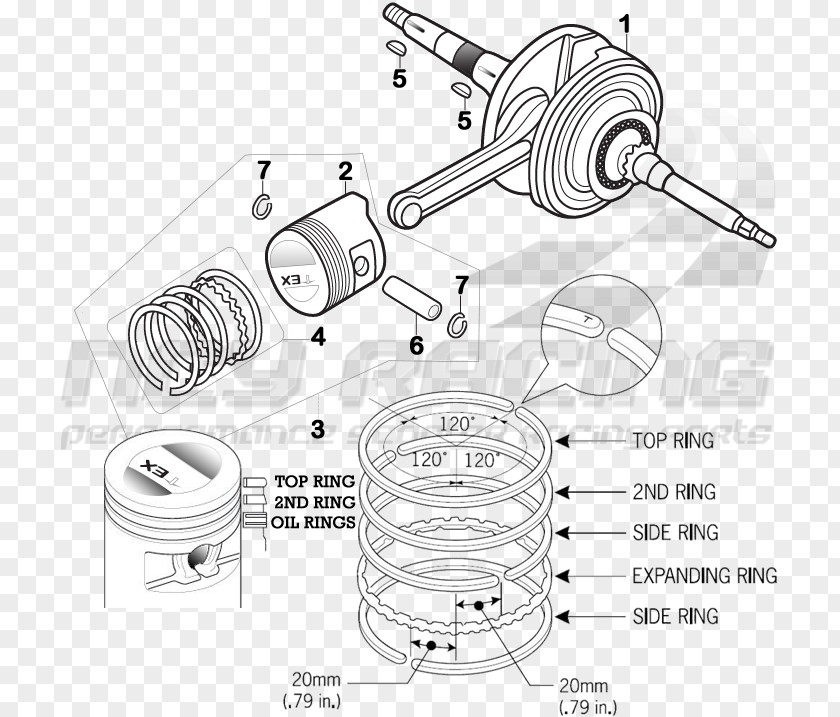 Ring Diagram Honda Zoomer Scooter GY6 Engine PNG