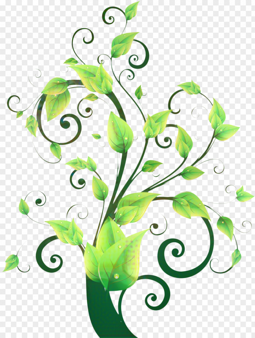 Vascular Plant Line Art Flower PNG