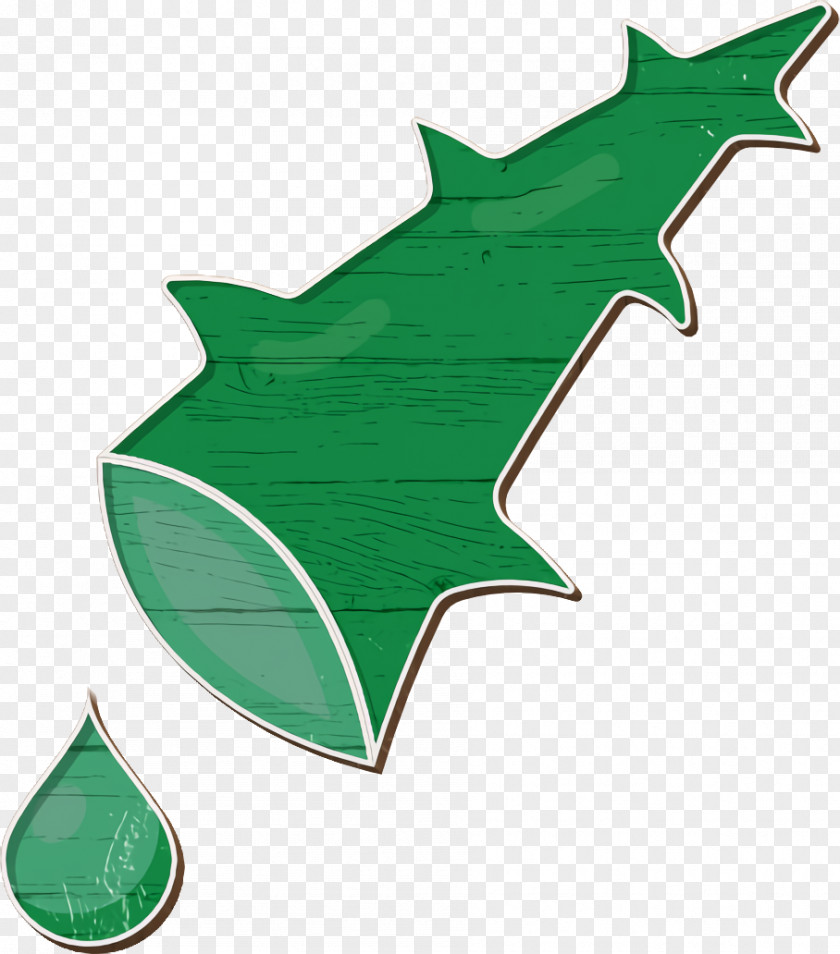 Botanicals Icon Leaf Aloe PNG