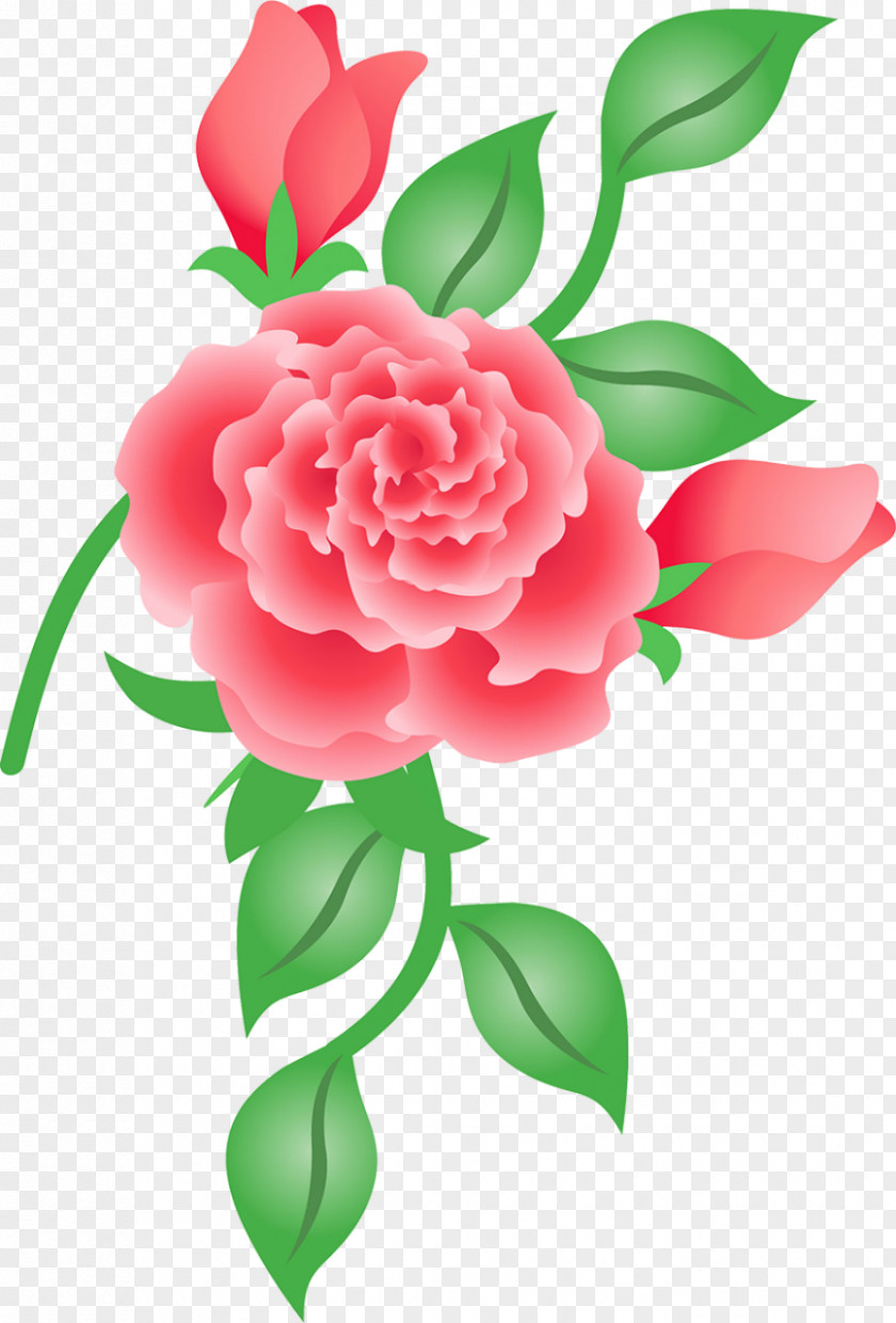 Flower Garden Roses Cabbage Rose Cut Flowers Clip Art PNG