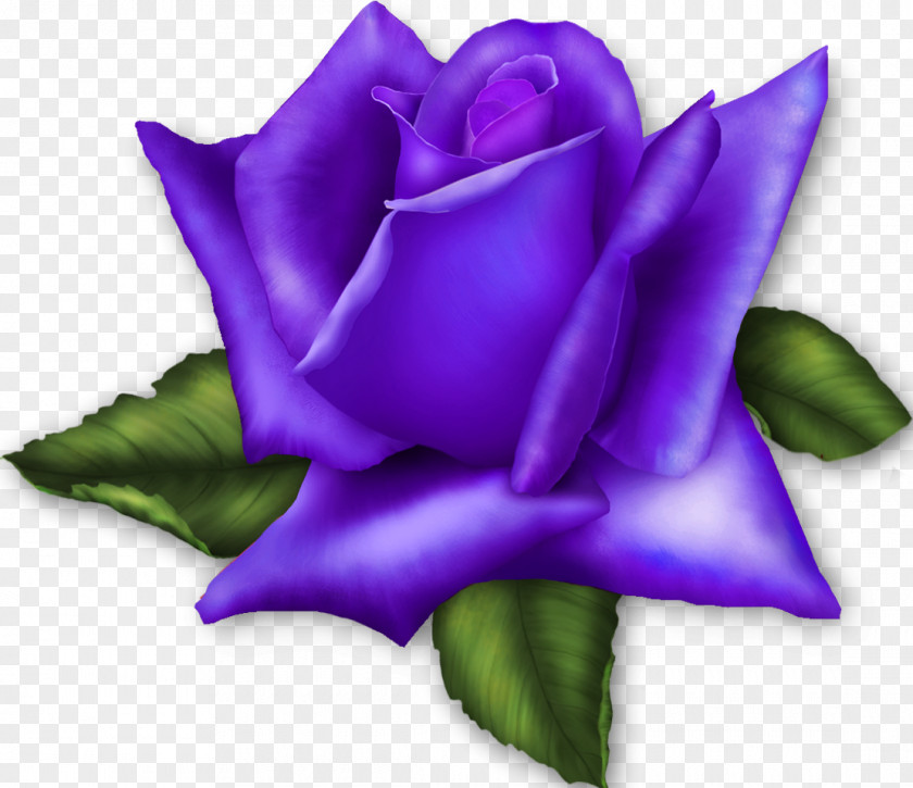 Lilac Garden Roses Flower Clip Art PNG
