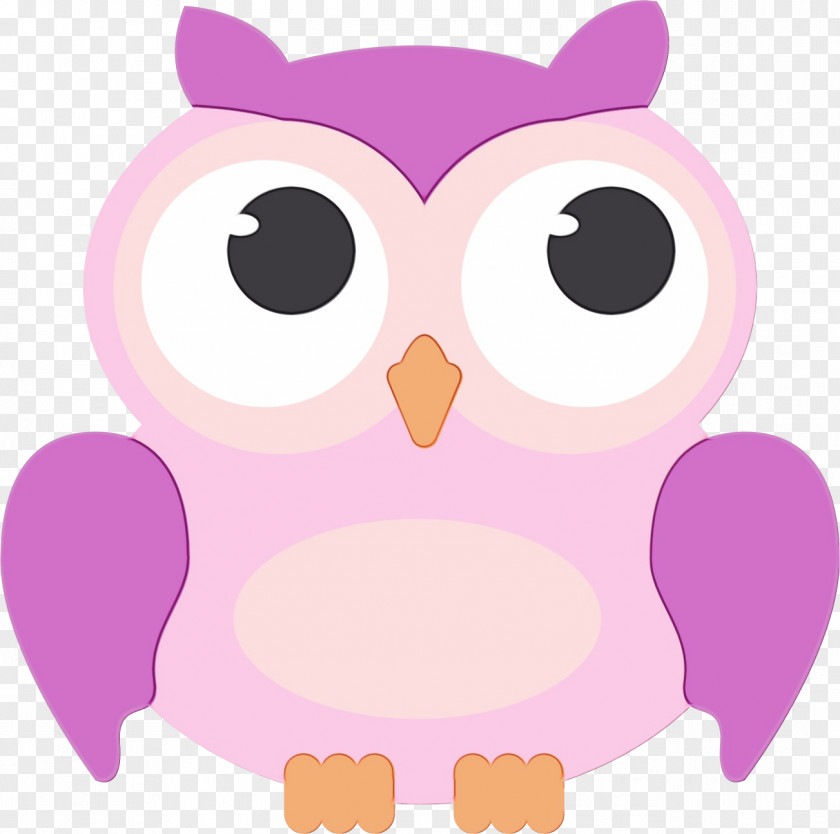 Snout Bird Owl Pink Clip Art Cartoon Purple PNG